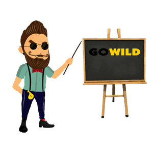 Go Wild Casino Bonus