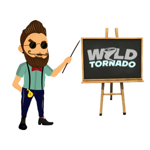 Wild Tornado Casino Review