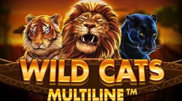 Wild cats multiline slot review red tiger gaming