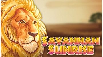 savannah-sunrise-slot review
